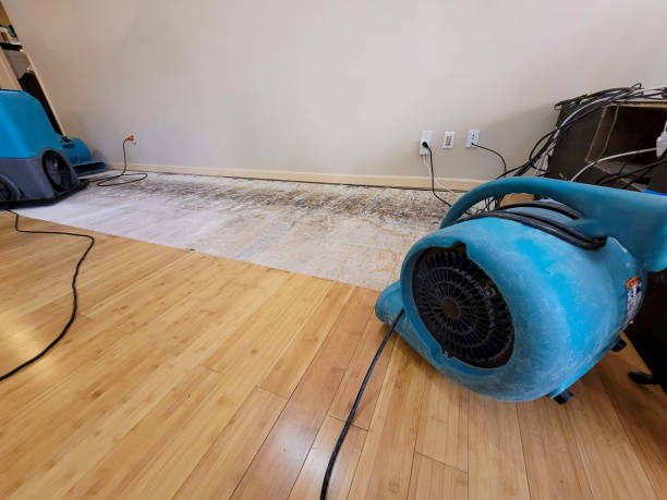 Professional Basement Flood Cleanup technician working in Olanta, SC